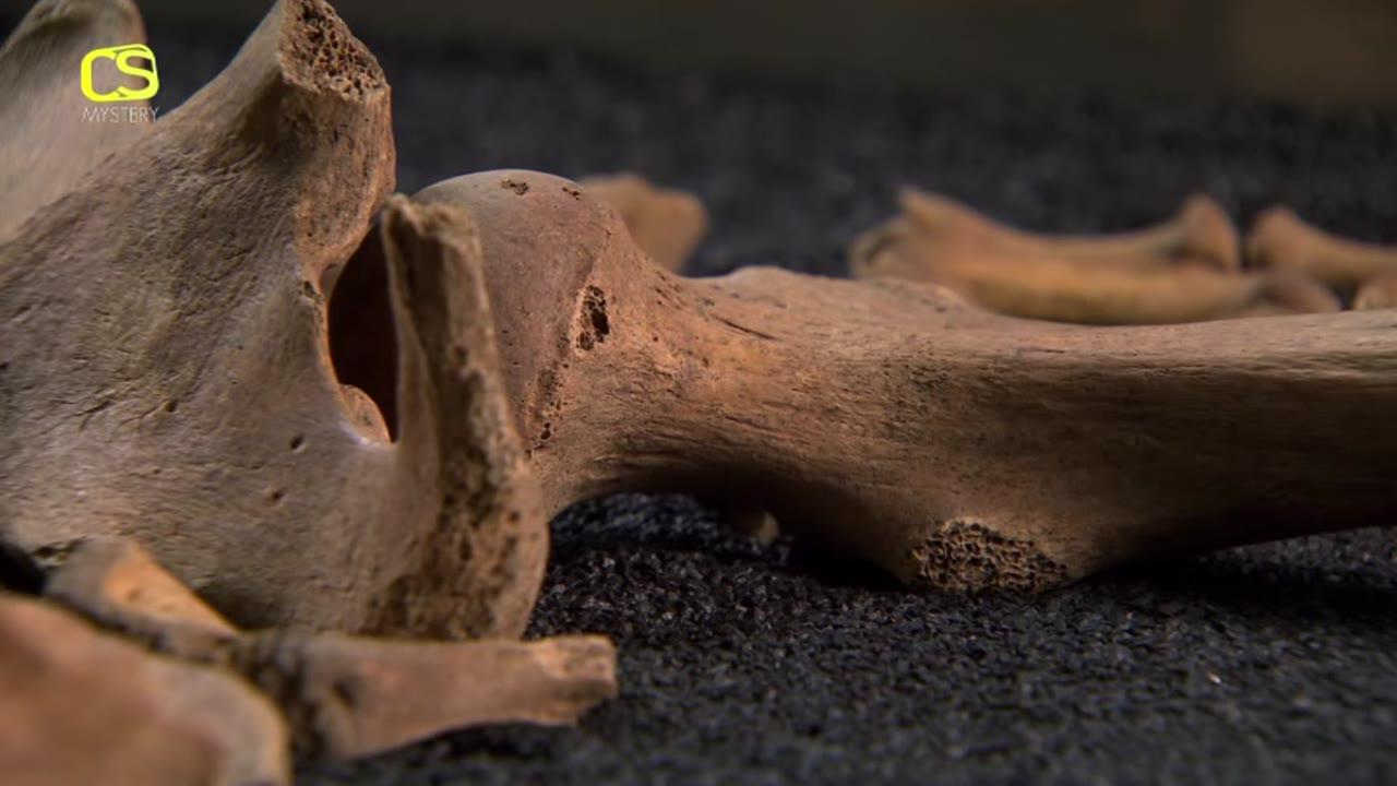 Secrets in the Bones: The Hunt for the Black Death Killer