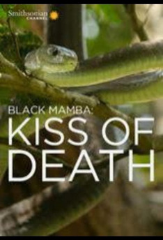 Black Mamba Kiss Of Death