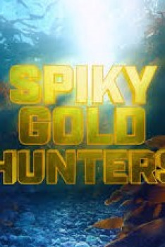 Spiky Gold Hunters