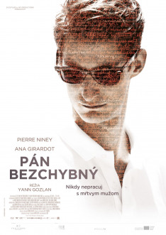 Pan Bezchybný