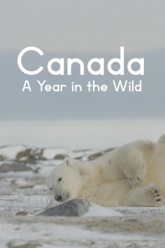 Canada: A Year in the Wild