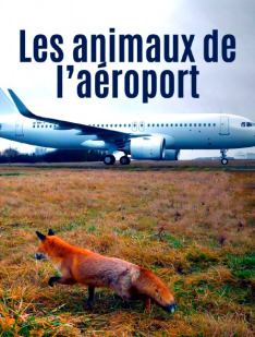 Les animaux de l’aéroport