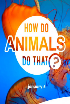 How Do Animals Do That?