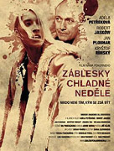 Záblesky chladné neděle