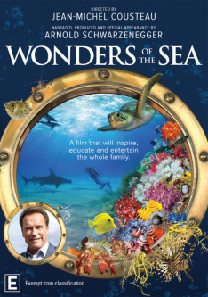 Wonders of The Ocean