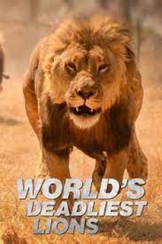 World's Deadliest: Lions